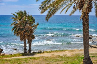 Paphos 'un bahar kıyılarının cazibesi denizin parlak renginden, tuhaf kıyı kayalarından ve büyük ve küçük çiçek açan bitkilerden oluşur.    