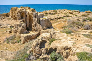 Paphos 'un bahar kıyılarının cazibesi denizin parlak renginden, tuhaf kıyı kayalarından ve büyük ve küçük çiçek açan bitkilerden oluşur.    