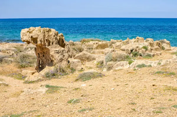 Encanto Costa Mola Paphos Consiste Cor Brilhante Mar Rochas Costeiras — Fotografia de Stock