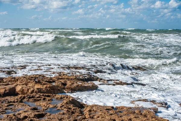 Güçlü bir Kasım rüzgarı, kıyıya doğru kükreyen dalgalar salıyor ve beyaz köpükleri kopartıyor. Paphos ve yakındaki köylerin tüm plajları fırtınalı sularla doludur..       