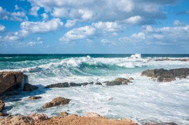 Güçlü bir Kasım rüzgarı, kıyıya doğru kükreyen dalgalar salıyor ve beyaz köpükleri kopartıyor. Dalgalar kayalık kıyılara çarpar, milyonlarca su sıçraması ile havayı doyurur..       