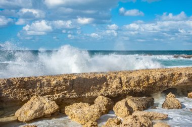 Güçlü bir Kasım rüzgarı, kıyıya doğru kükreyen dalgalar salıyor ve beyaz köpükleri kopartıyor. Dalgalar kayalık kıyılara çarpar, milyonlarca su sıçraması ile havayı doyurur..       