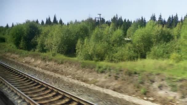 从移动的火车窗口拍摄初秋森林景观 — 图库视频影像
