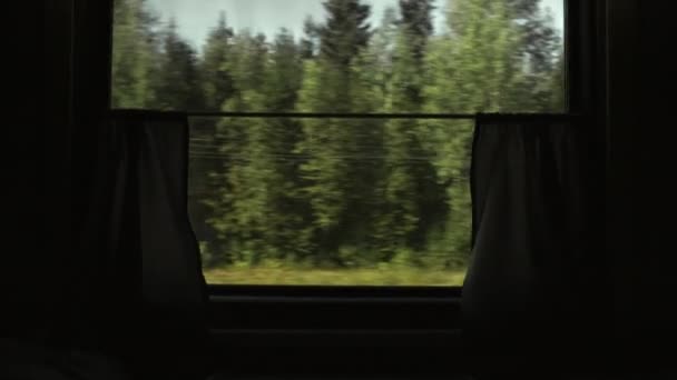 从移动的火车窗口观看隆重的森林景观 — 图库视频影像