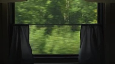 Hareket halindeki tren penceresinden Ağustos orman manzarası çekimleri