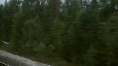 Hareket halindeki tren penceresinden bulutlu gün ışığında fidan ağaçları