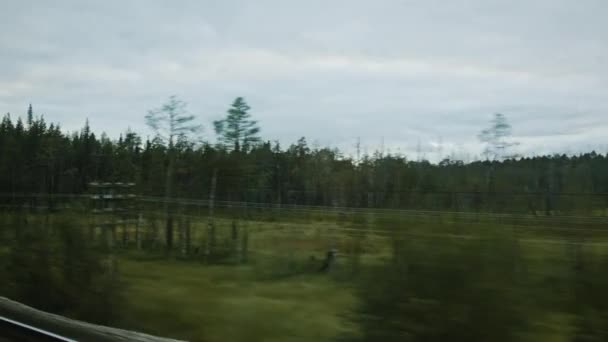 从移动的火车窗口看多云的森林 — 图库视频影像