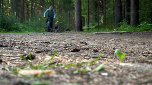 Расстрел обезвреженных велосипедистов в лесу