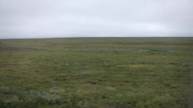 Hareket halindeki trendeki kutup manzarasının videosu