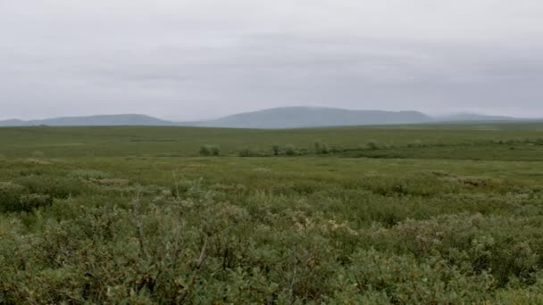 Wideo z jesiennej tundry i uralskich gór w pochmurny dzień — Wideo stockowe