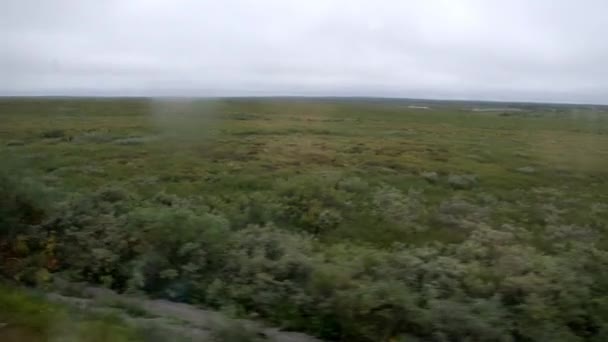 Schieten van het poollandschap vanuit de rijdende trein — Stockvideo