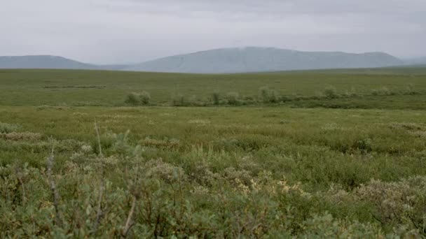 多云的秋初冻土带和乌拉尔山脉 — 图库视频影像
