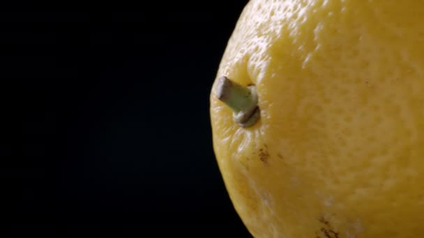 Schießen von frisch spinnenden Zitronen auf schwarzem Hintergrund — Stockvideo