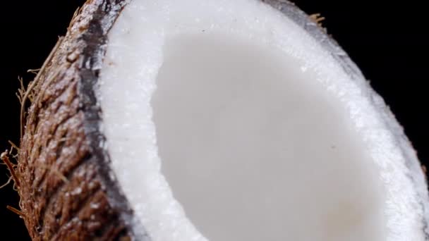 Bilder av roterande kokosnöt hälften på svart bakgrund — Stockvideo