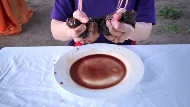 Tir de femme mangeant du foie cru dans la journée ensoleillée — Video