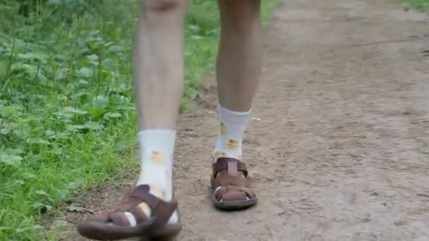 Мужские ноги в смешных носках прогулки в летнем лесу — стоковое видео