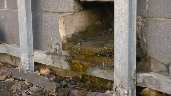 Foto von zerbrochener Hausfassade durch Vandalen — Stockfoto