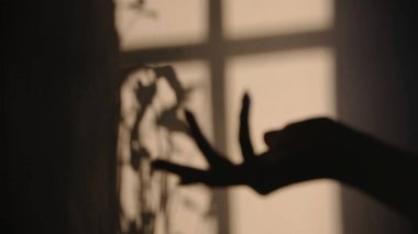 Pencerenin gölgesiyle kadın eli silueti vuruyor.