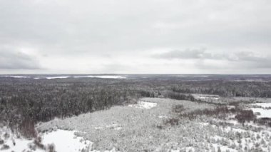 Kuş bakışı bir kış manzarasının görüntüsü