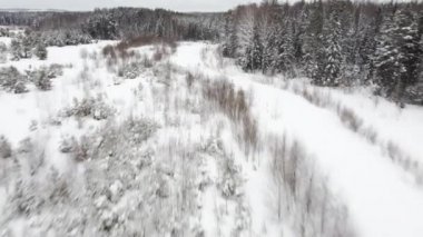 Kuş bakışı bir kış ormanı