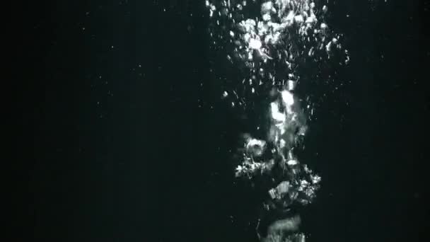 Akvaryumda su altında baloncuk fırlatma — Stok video