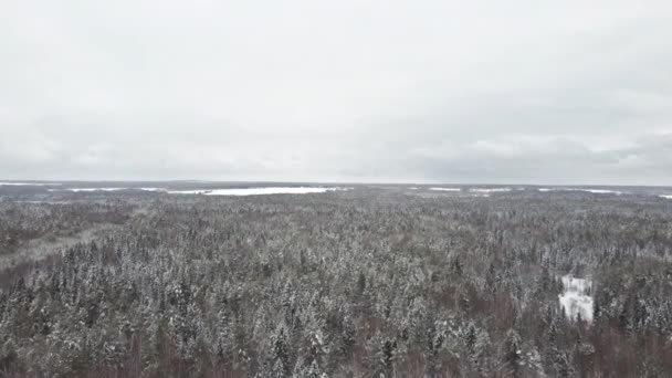 Filmación contiene bosque de invierno durante la mosca del dron, vista superior — Vídeos de Stock