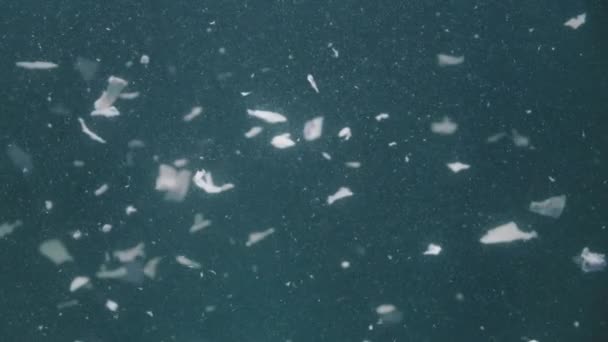 Filmagem de restos de papel subaquático em fundo azul — Vídeo de Stock