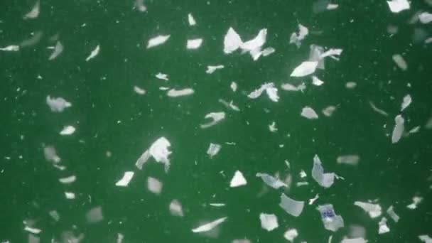 Vídeo de restos de papel bajo el agua sobre fondo verde — Vídeos de Stock