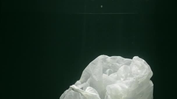 Fotografowanie białego pływającego opakowania pod wodą — Wideo stockowe