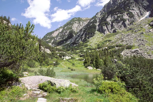 Καλοκαίρι Άλπεις Βουνό Πεζοπορία Μονοπάτι Όμορφο Τοπίο Και Μικρή Λίμνη — Φωτογραφία Αρχείου