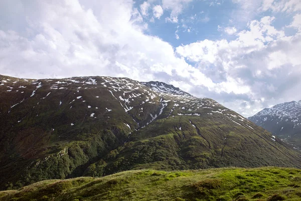 Rumput Hijau Juicy Dan Vegetasi Padat Lereng Gunung Dengan Patch — Stok Foto