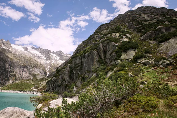 Pola Dan Tekstur Gunung Berbatu Yang Megah Landscape Swiss Alps — Stok Foto
