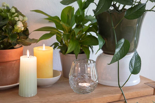 Green leaves of house plants and candles, cozy elegant home interior decoration arrangement.