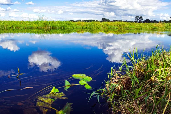 Idyll Summer Nature Landscape Biebrza River Clouds Reflections Water Rushes — Stock fotografie