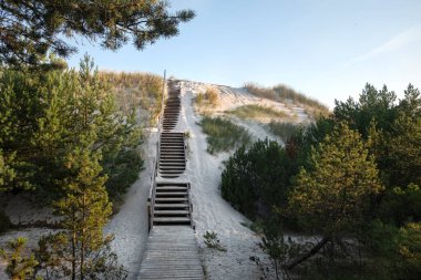 Wooden stairs to the beach covered with sand. Lubiatowo dunes, nature park with a protected coastal strip by Baltic sea. 