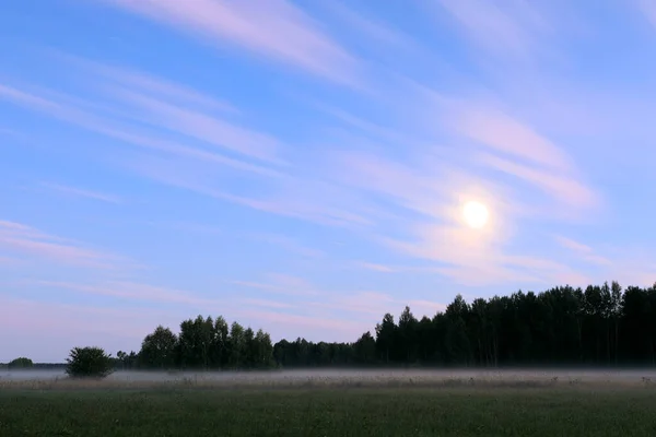 Rural Landscape Night Moon Wood Field Evening Fog Magical Atmospheric — Stockfoto