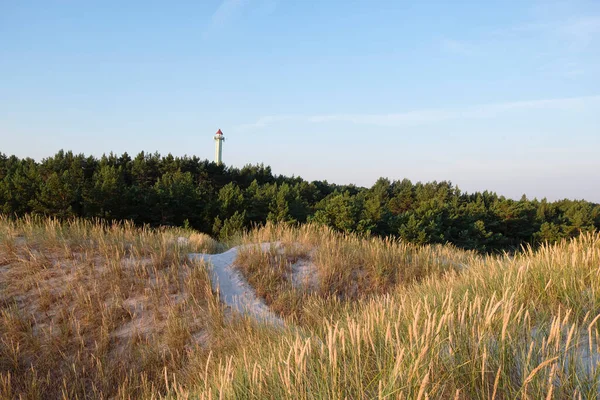 Sand path on the beach with grass in morning light to observation point tower. Lubiatowo dunes, nature park with a protected coastal strip by Baltic sea. 