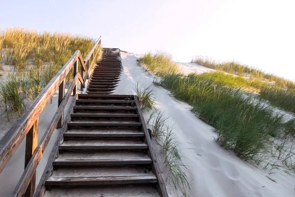 Wooden Stairs Sand Dune Covered Grass Way Entrance Beach Coastal — Zdjęcie stockowe