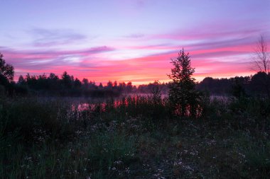 Magic colourful sunrise by the lake with morning fog.  Dark silhouette of trees and water with colourful reflections. Beautiful dusk sky nature landscape.