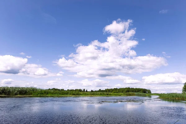 Dzika Rzeka Natura Chmura Krajobraz Letni Dzień Pędzi Przez Bagna — Zdjęcie stockowe