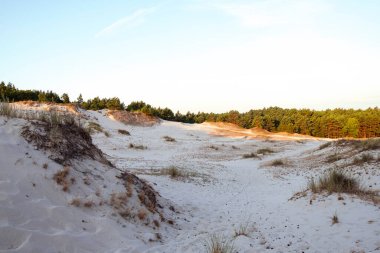 Lubiatowo 'daki kum tepeleri. Kıyı, Baltık Denizi tarafından korunan vahşi doğa. Kumda sabah ışığı, şafakta kurak arazi..