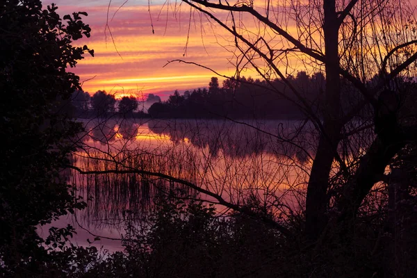 水の中に湖の反射による風景の日の出 空のパステルカラー 水の上の霧や木々の暗いシルエット 夜明けの魔法のような風景 — ストック写真