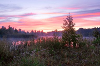 Magic colourful sunrise by the lake with morning fog. Silhouette of trees, meadow and water with colourful reflections. Beautiful dusk sky nature landscape in pastel colors.