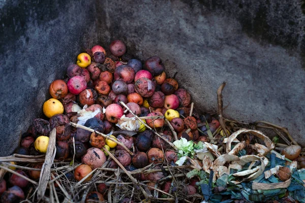 Leftovers thrown into into the compost. Spoiled food and scrapes. Rotten apples and pears close up. Ecological issues. Garbage. Concept of food waste reduction, food recycling.