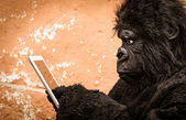 Gorilla with Tablet