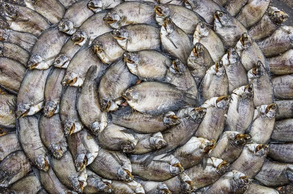 Dry Fishes - Artistic shape at Food Market — Stock Photo, Image