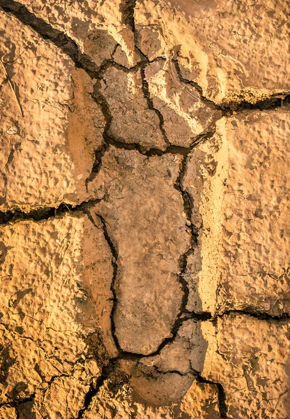 人类的足迹在破解的地球的土壤 — 图库照片