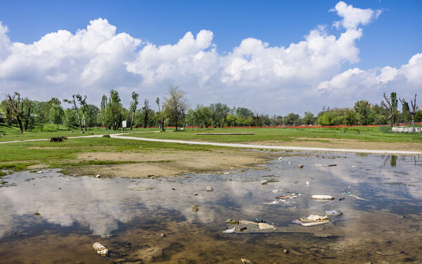 Garbage Polluting the natural Environment