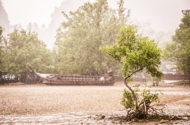Tropikal bir yağmurun altında Railay Plajı - Ao Anng, Tayland