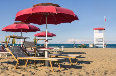 Umbrellas and sunbeds - Rimini Beach - Italy clipart